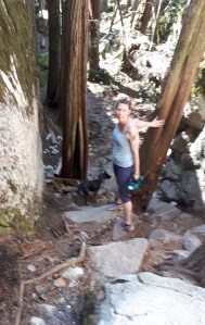 we are connected to Gaia