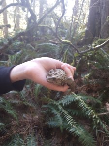 connecting with nature